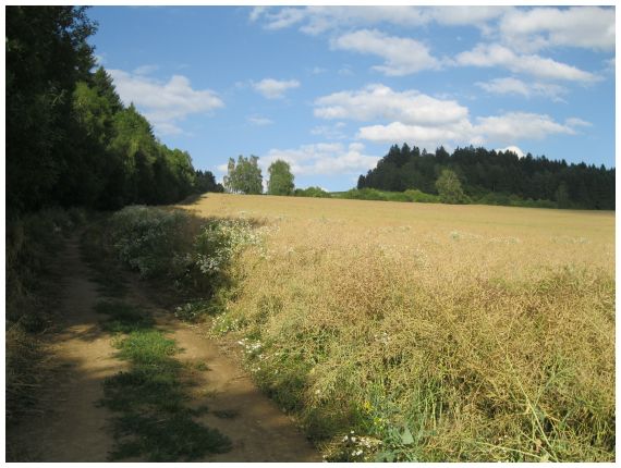 v obr z Pořína