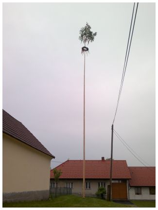 v obr kronika