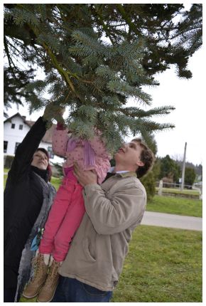 v obr z Pořína